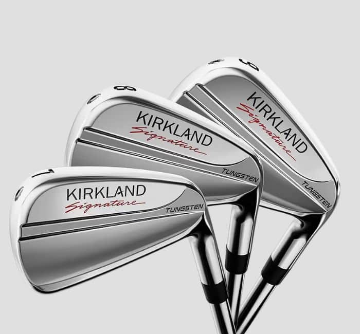 Kirkland Signature Iron